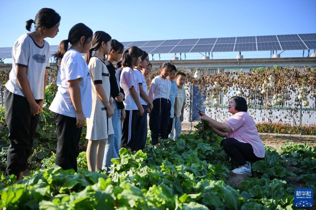 ccl 电子